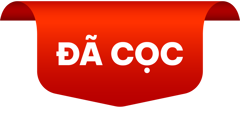 Đã cọc